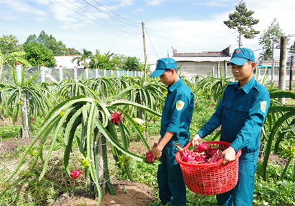 LLVT huyện Tân Trụ, tỉnh Long An tích cực tăng gia sản xuất, tăng cường tiềm lực hậu cần