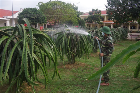 Ban CHQS huyện Hàm Thuận Nam, tỉnh Bình Thuận: Điểm sáng trong công tác tăng gia sản xuất