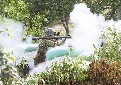 Sư đoàn 302: Vượt mọi khó khăn, hoàn thành tốt nhiệm vụ