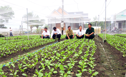 Thương hiệu rau sạch cựu chiến binh