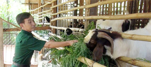 Phát huy phẩm chất người lính Cụ Hồ