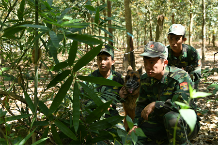 Cuối năm buôn lậu lại nóng