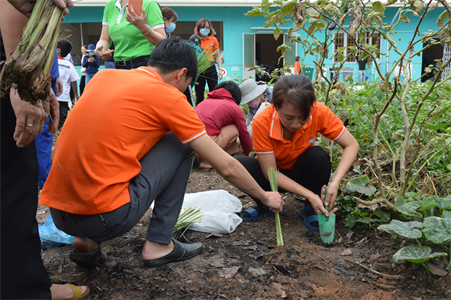 Bệnh viện Quân dân y miền Đông tổ chức tết trồng cây và Hội thi trang trí nơi làm việc xanh-sạch-đẹp