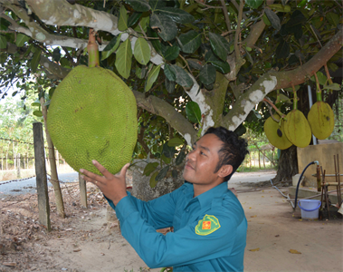 Phát huy vai trò của đảng viên sau khi xuất ngũ