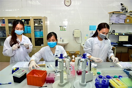 Những 'bông hồng xanh' và 'mệnh lệnh trái tim'