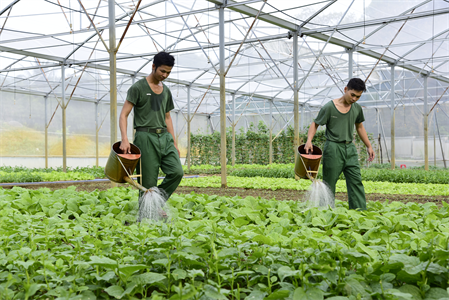 Đại đội 9 xây dựng cảnh quan xanh, sạch, đẹp trên đảo