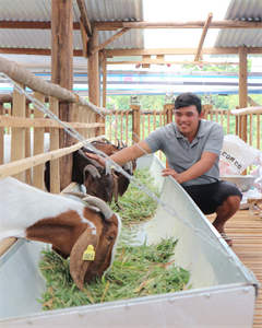 Cựu quân nhân làm giàu từ dê Boer