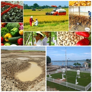 Chỉ đạo, điều hành của Chính phủ, Thủ tướng Chính phủ nổi bật tuần từ 22-26/3/2021