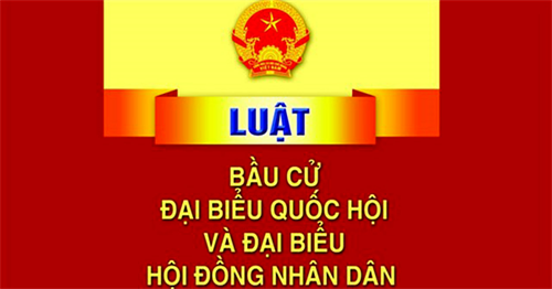 Bị xử lý có hành vi vi phạm pháp luật về bầu cử đại biểu Quốc hội và đại biểu Hội đồng nhân dân