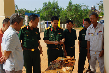 Hội thảo xác định phiên hiệu đơn vị, danh tính hài cốt liệt sĩ