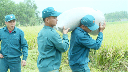 Dân quân xã An Điền, thị xã Bến Cát, Bình Dương: Thi đua tăng gia sản xuất