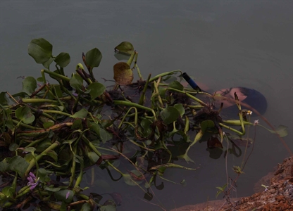 Bộ đội trinh sát Bình Thuận luồn sâu, đánh hiểm