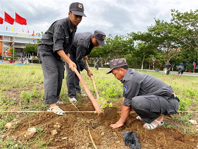 Vùng 2 Hải quân hưởng ứng Chương trình trồng 1 tỷ cây xanh “Vì một Việt Nam xanh”