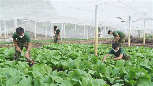 Ngành Hậu cần Quân khu 7 hoàn thành nhiệm vụ 6 tháng đầu năm 2021