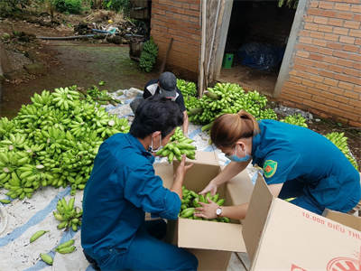 "Biên Hòa gọi - Tân Phú trả lời"