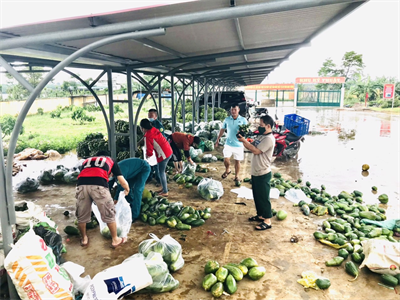 Ban CHQS huyện Bảo Lâm đẩy mạnh thực hiện Chỉ thị 660 của Đảng ủy Quân khu