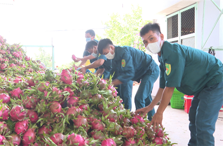 Tỉnh Bình Thuận tặng hơn 20 tấn lương thực, thực phẩm cho người dân Thành phố Hồ Chí Minh