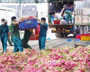Bộ CHQS tỉnh Bình Thuận chuyển 25 tấn thực phẩm hỗ trợ Thành phố Hồ Chí Minh
