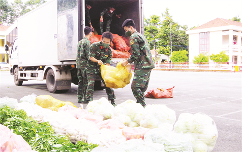 LLVT tỉnh Bình Dương: Sáng tạo hoàn thành nhiệm vụ kép