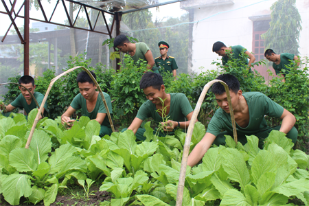 Kho K75 chủ động tăng gia sản xuất, chăm lo đời sống bộ đội trong mùa dịch