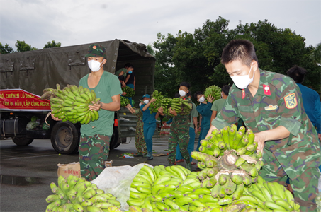 Bình Dương tiếp nhận 15 tấn rau, củ, quả