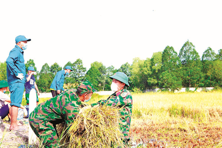 Bảo đảm hậu cần cho miền Nam chống dịch