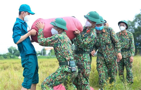 LLVT huyện Bình Chánh phối hợp giúp dân thu hoạch lúa