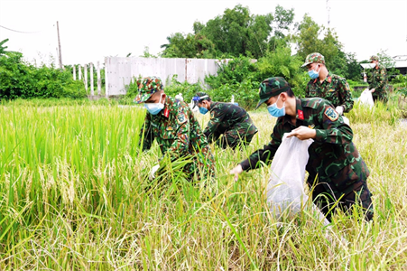 Nghĩa tình quân dân trong tâm dịch