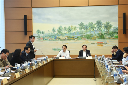 Đại tướng Lương Cường: Cần đánh giá kỹ hơn tác động liên quan đến quốc phòng - an ninh