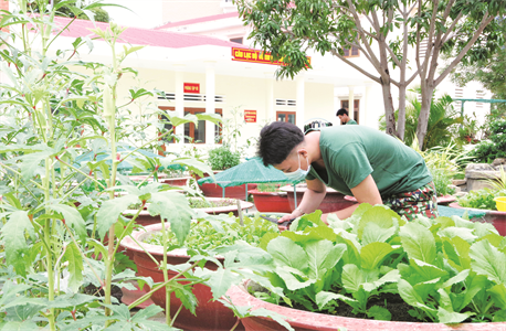Rau quanh doanh trại