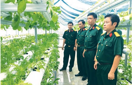 Nhìn lại một năm hoạt động, xây dựng ngành hậu cần khu vực phòng thủ trên địa bàn Quân khu 7