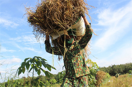 Nghĩa tình quân - dân trong đại dịch