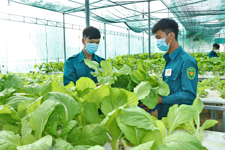 LLVT huyện Bắc Tân Uyên: Đẩy mạnh tăng gia sản xuất nâng cao đời sống bộ đội