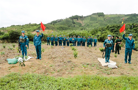 Điểm sáng Di Linh