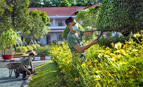 Chuẩn bị cho những ngày vui tết