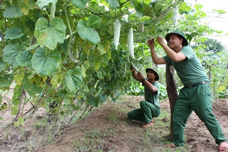 Ban CHQS huyện Lộc Ninh, tỉnh Bình Phước:  Xứng danh đơn vị quyết thắng