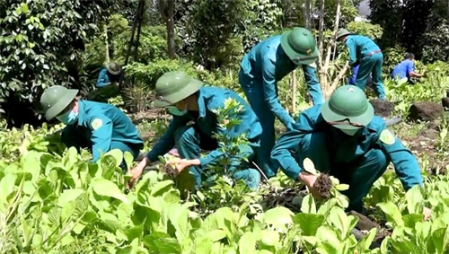 LLVT huyện Định Quán, tỉnh Đồng Nai giúp dân thu hoạch hoa màu