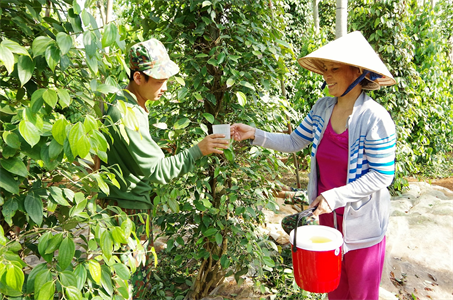 Bộ đội góp sức xây dựng nông thôn mới