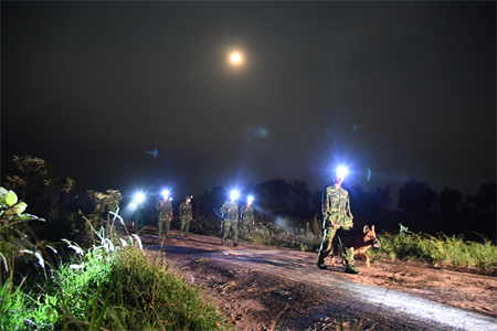 Xuân này, biên cương xanh