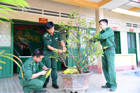 Xuân này, biên cương xanh
