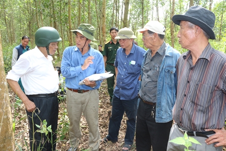 Triển khai tìm kiếm hài cốt liệt sĩ ở Sân bay Biên Hòa