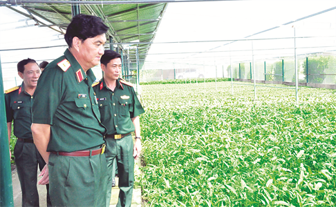 Bảo đảm chu đáo hậu cần cho huấn luyện chiến sĩ mới