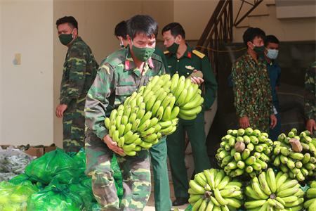 LLVT tỉnh Lâm Đồng thích ứng an toàn, hoàn thành xuất sắc mọi nhiệm vụ