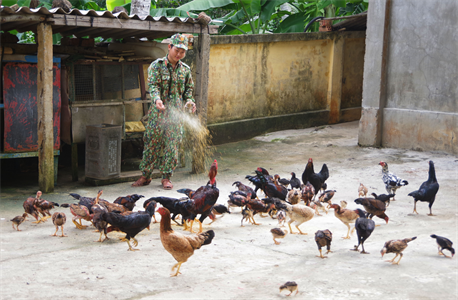 Tăng gia những ngày nắng hạn