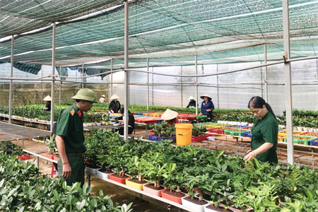 Điểm tựa cho các hội viên cựu chiến binh