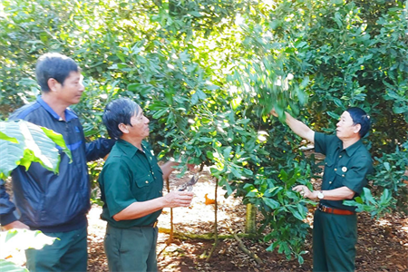 Cựu chiến binh huyện Lâm Hà tích cực xây dựng quê hương