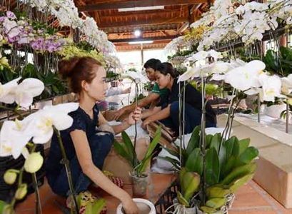 Nâng chất công tác kết nạp đảng viên trong nông dân