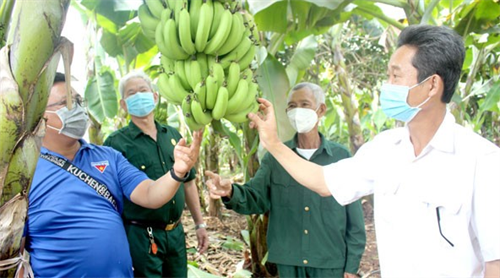 Đổi thay vùng căn cứ xưa