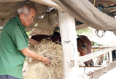 Nghĩa tình đồng đội