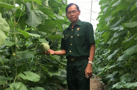 Phát huy hiệu quả Phong trào thi đua “Cựu chiến binh gương mẫu”